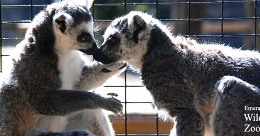 Emerald Coast Wildlife Refuge Zoological Park, Navarre | Roadtrippers