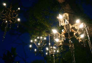 Photo of The Chandelier Tree