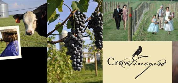 Photo of Crow Vineyard & Winery