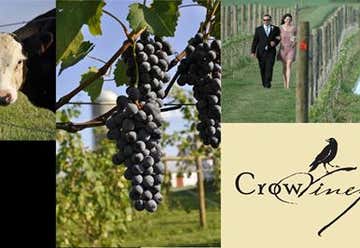Photo of Crow Vineyard & Winery