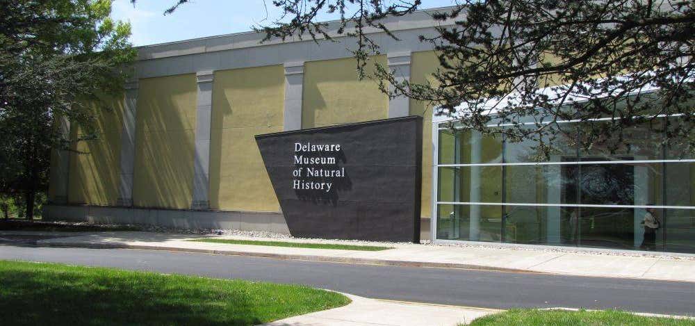 Photo of Delaware Museum of Natural History