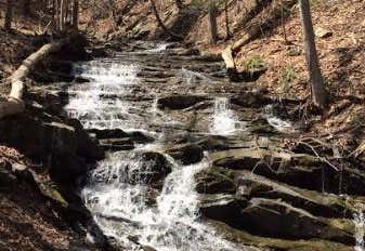 Photo of Falling Waters Preserve