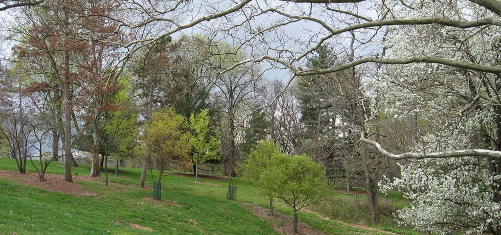 Photo of Mt Airy Arboretum