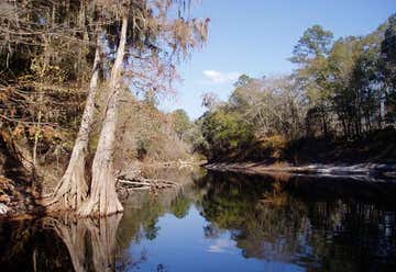 Photo of Suwannee River State Park