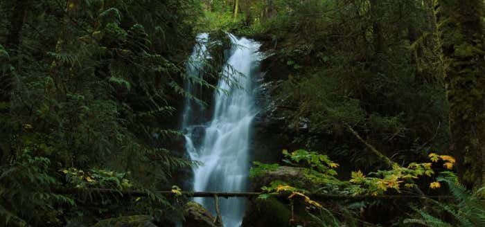 Photo of Merriman Falls