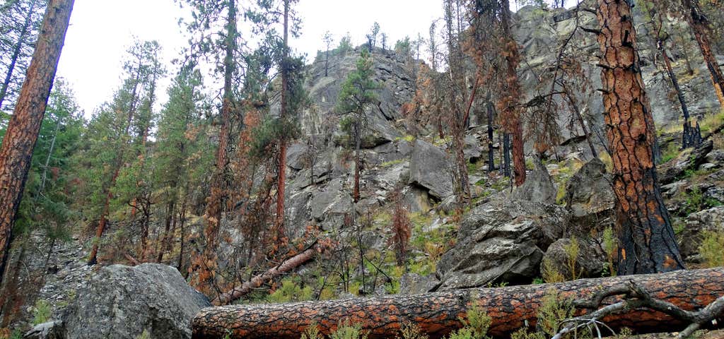 Photo of Little Spokane Natural Area