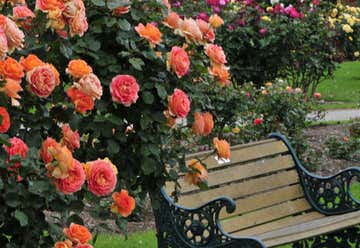Photo of Victoria State Rose Garden