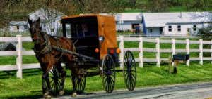 Photo of Simple Life Tours - Amish Tours