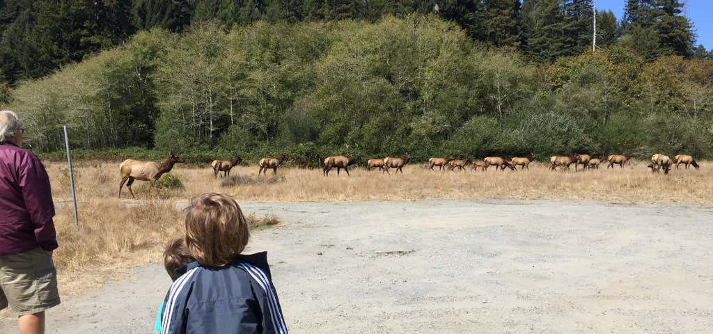 Photo of Elk Meadow Cabins