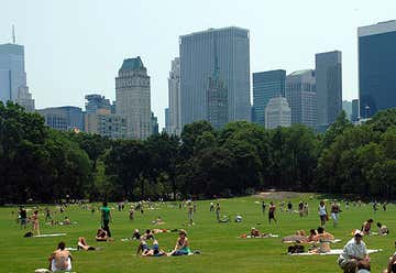 Photo of Central Park - Sheep Meadow