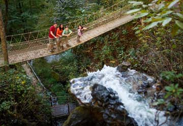 Photo of Foxfire Mountain Swinging Bridge