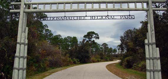 Photo of Caloosahatchee Regional Park