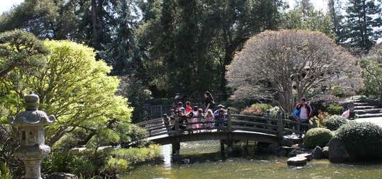 Photo of Japanese Tea Garden At Central Park