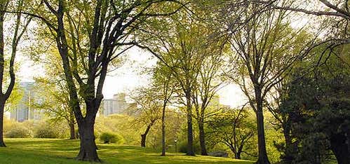 Photo of Central Park - Cherry Hill