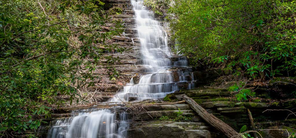 Photo of Angel Falls Trail