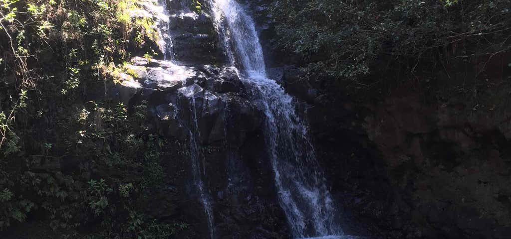 Photo of Waimano Trail