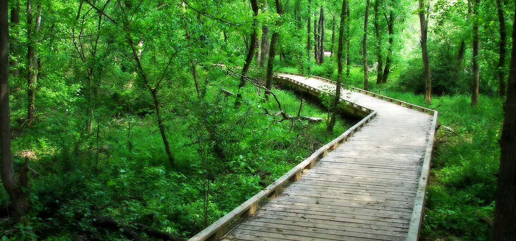 Photo of Lake Conestee Nature Park