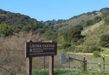 Photo of Leona Canyon Regional Open Space Preserve