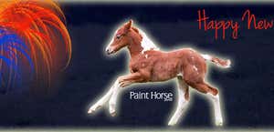Official American Paint Horse Association