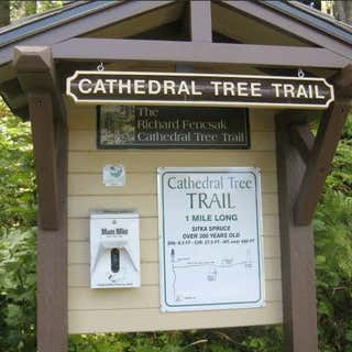 Cathedral Tree Trail