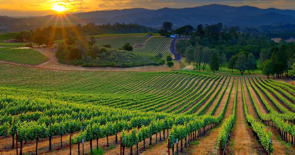 Watauga Lake Winery, Butler Roadtrippers