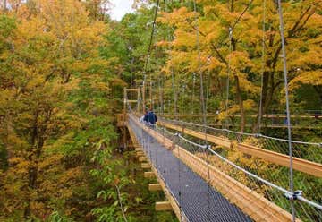 Photo of Murch Canopy Walk At The Holden Arboretum