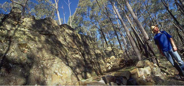 Photo of Paddys Ranges State Park