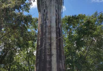 Photo of Alabama Water Tower