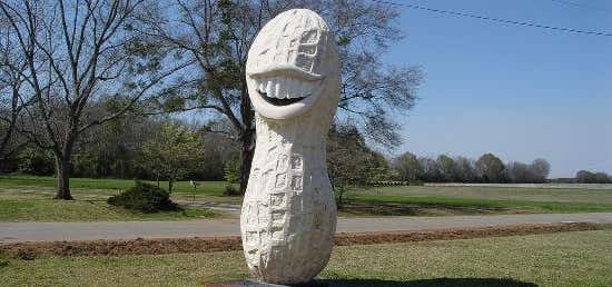 Photo of Jimmy Carter Peanut of Plains Statue
