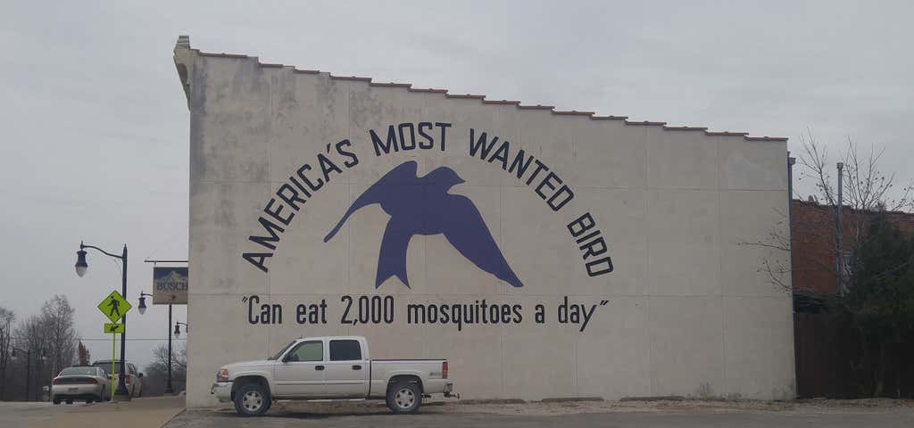 Photo of Purple Martin Capital of the Nation