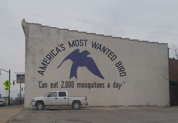 Photo of Purple Martin Capital of the Nation