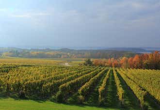 Photo of Wineries of Old Mission Peninsula
