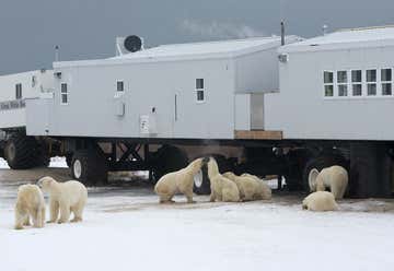 Photo of Great White Bear Tundra Lodge