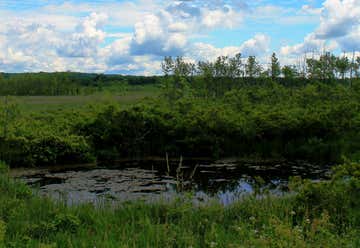 Photo of Great Swamp National Wildlife Reserve