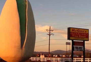 Photo of World's Largest Pistachio
