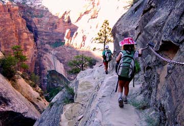 Photo of Zion Grotto Trail