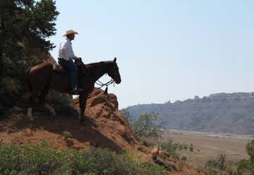 Photo of MH Cowboy - Day Tours