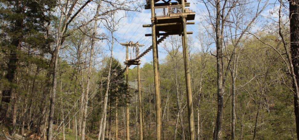 Photo of Branson  Zipline and Canopy Tours at Wolfe Creek Preserve
