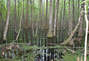 Photo of Scape Ore Swamp
