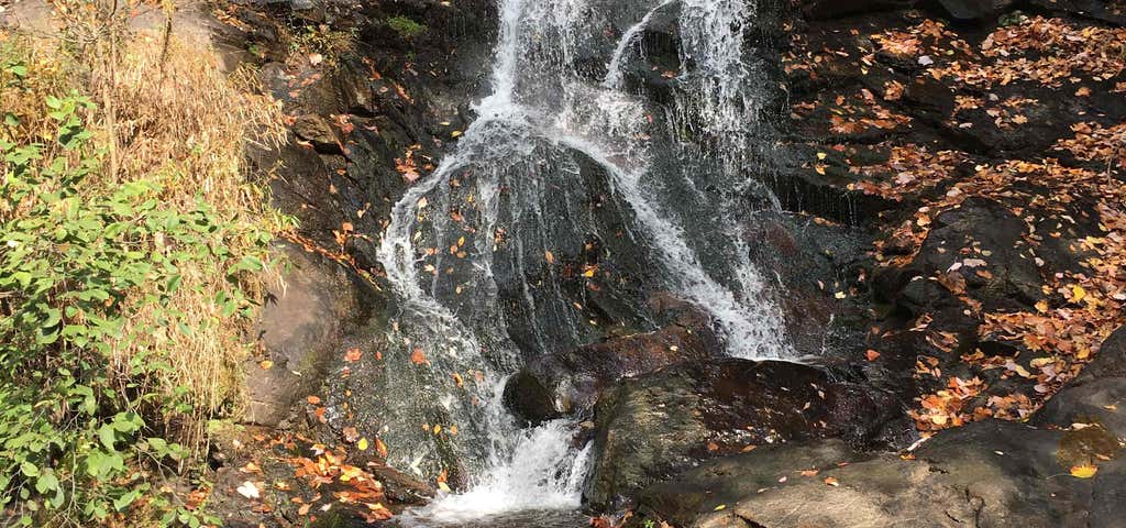Photo of Amicalola Falls State Park Campground