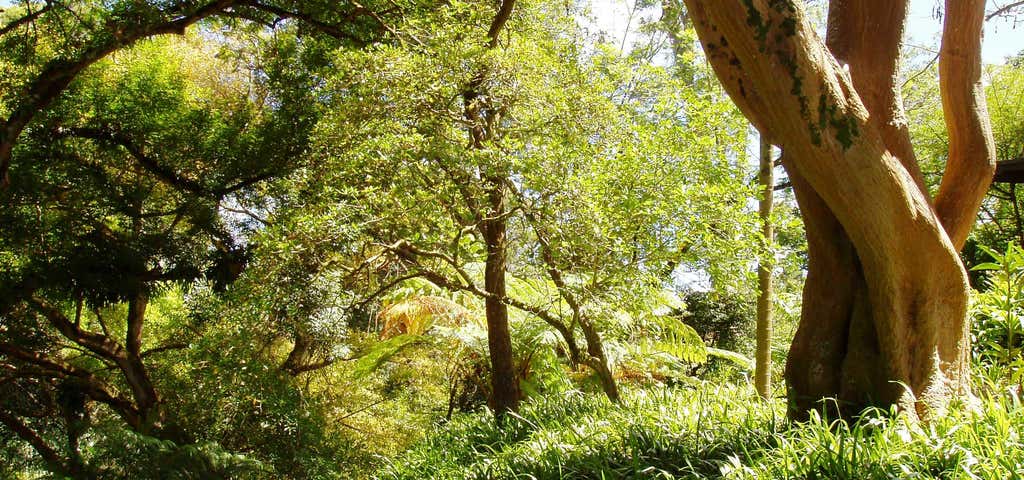 Photo of Wahiawa Botanical Garden