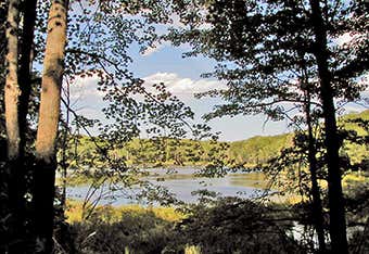 Photo of Reid Lake Foot Travel Area