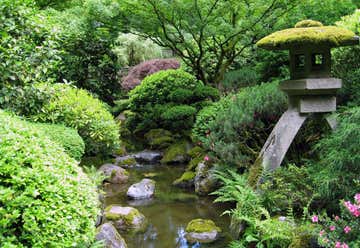 Photo of Japanese Garden