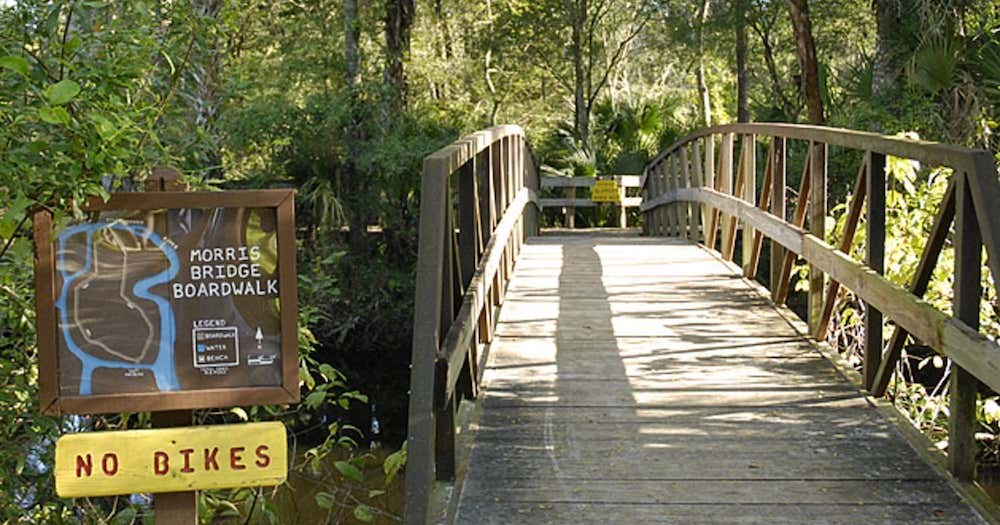 Morris Bridge Wilderness Park, Thonotosassa Roadtrippers
