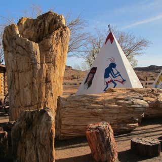 Worlds Largest Petrified Tree at Geronimo Trading Post