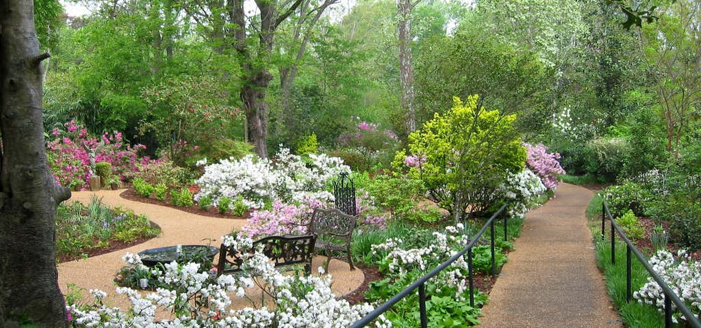 Photo of Mynelle Gardens