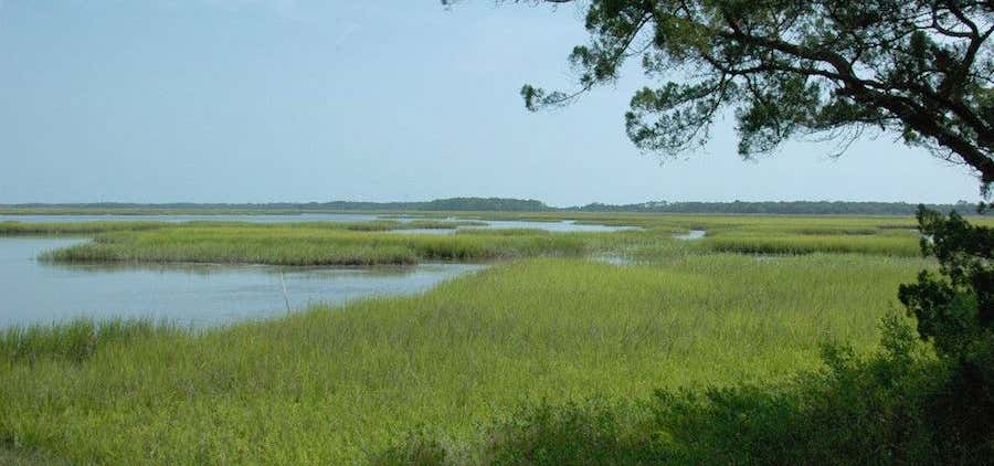 Photo of Stokes Landing Conservation Area