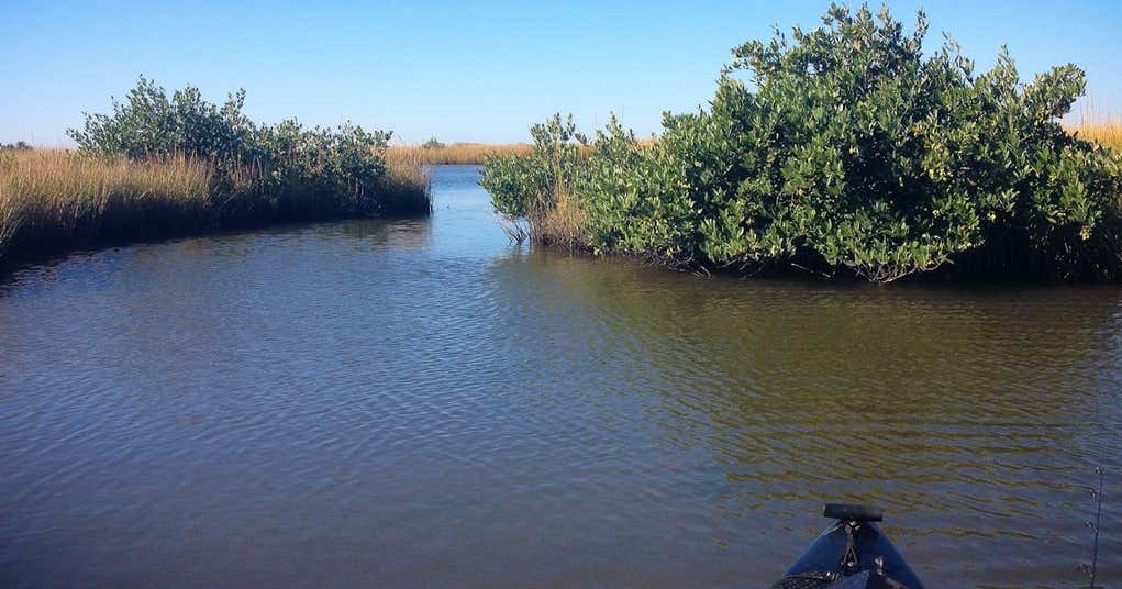 Last Island Louisiana, Cocodrie Roadtrippers