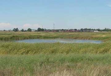 Photo of Limon Wetlands