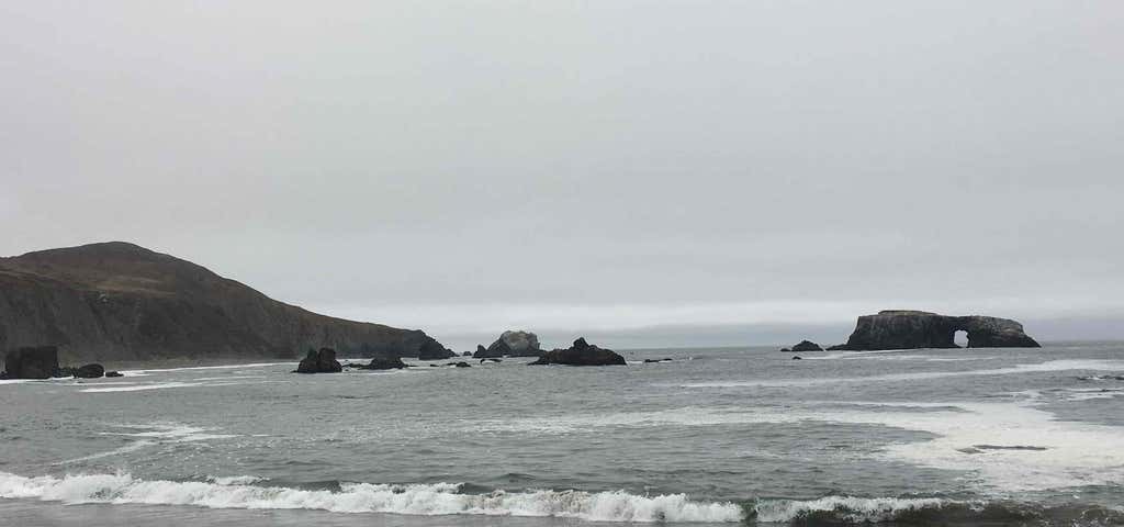 Photo of Goat Rock State Beach